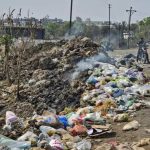 चाकण नगरपरिषदेने श्वान निवारा विस्तार, सामूहिक लसीकरण आणि महिलेच्या मृत्यूनंतर नसबंदीची योजना आखली आहे.