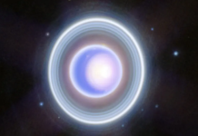 प्रवेश नाकारला